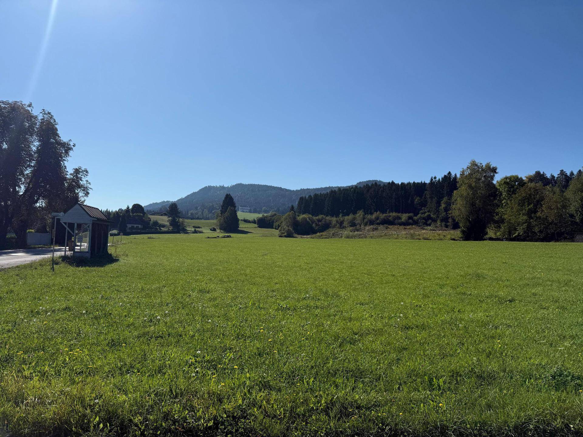 Sonnige Wiesenfläche mit weitem Blick auf die umliegende Natur und bewaldete Hügelketten.