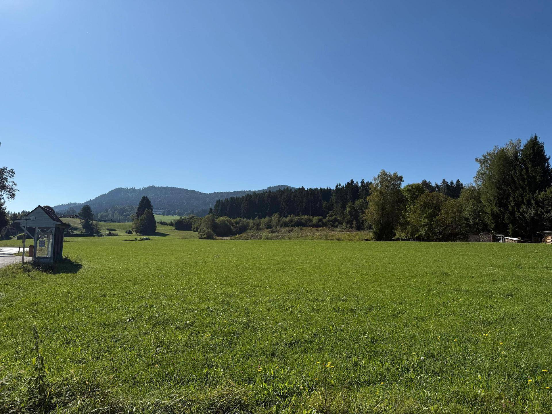 Idyllische grüne Wiese mit weitem Ausblick auf die bewaldete Landschaft und die umliegenden Berge.