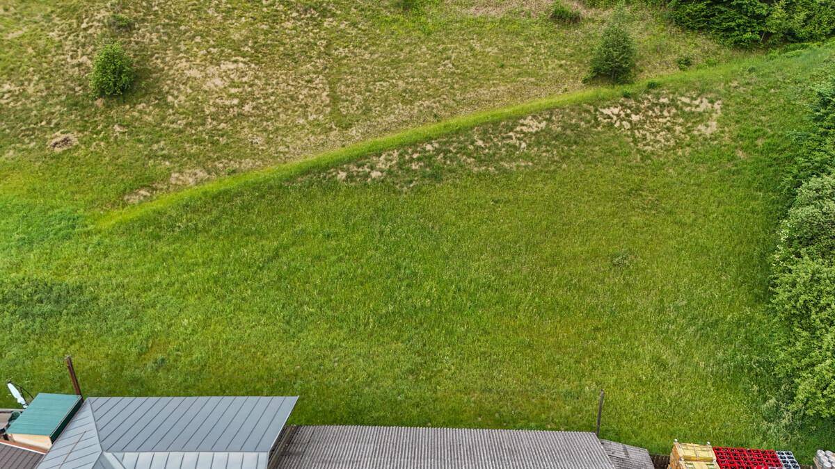 Luftaufnahme einer weitläufigen grünen Fläche mit angrenzenden Dächern und vereinzelten Bäumen.
