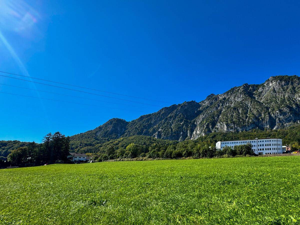 Weitläufige grüne Landschaft mit majestätischen Bergen unter blauem Himmel.