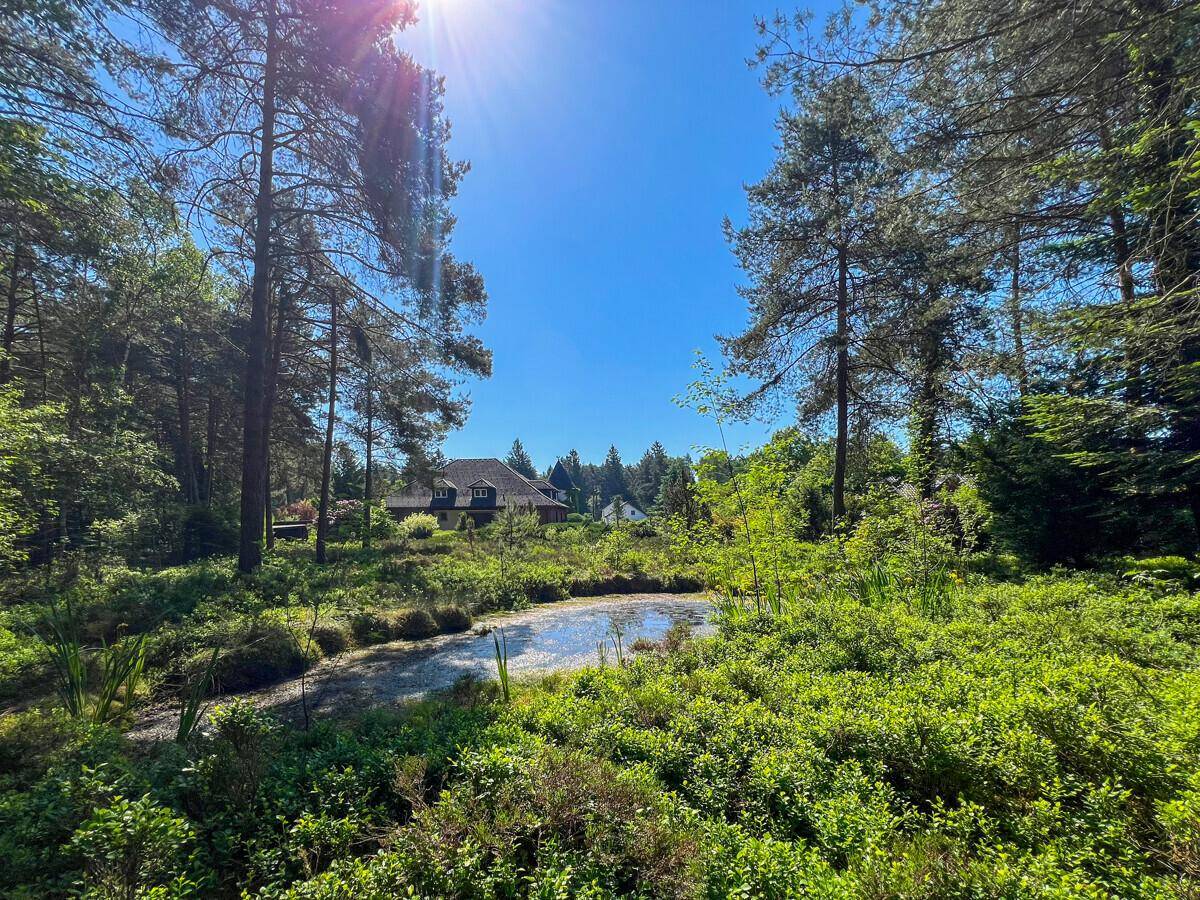 Natürliche Teichlandschaft in waldreicher Umgebung mit Blick auf das idyllische Haus.