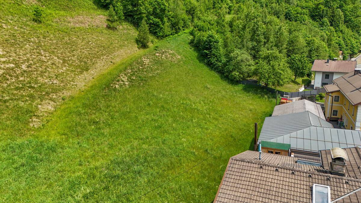 Übersicht einer großen grünen Wiese mit bewaldetem Hang und umliegenden Wohnhäusern aus der Vogelperspektive.