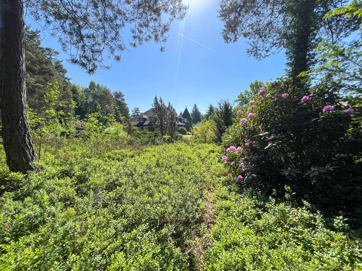 Ein Zuhause im Einklang mit der Natur – další