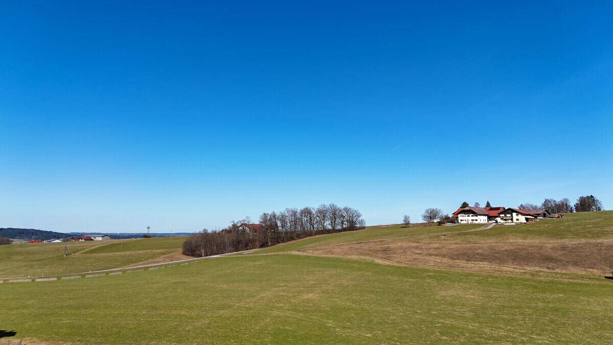 Weitläufige grüne Hügellandschaft mit vereinzelten Häusern unter einem klaren blauen Himmel.