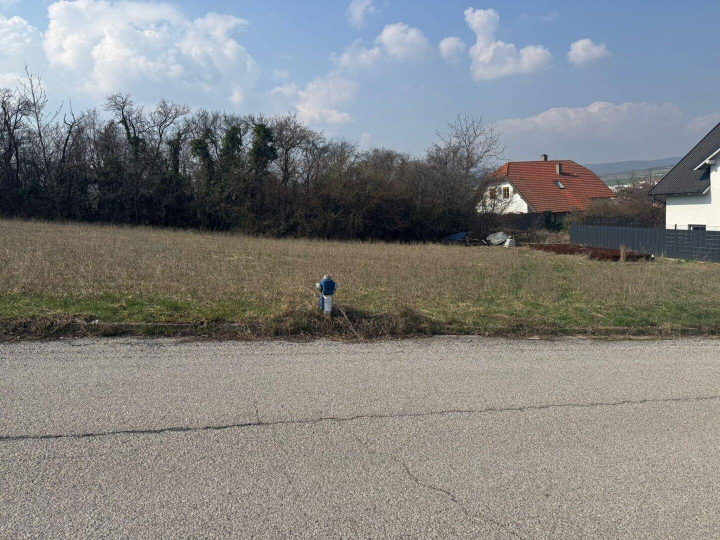Unbebautes Grundstück am Straßenrand mit einem Hydranten und Blick auf die ländliche Umgebung.
