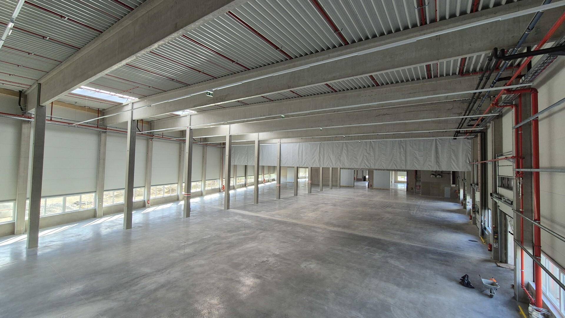 MF-Halle D 1.7