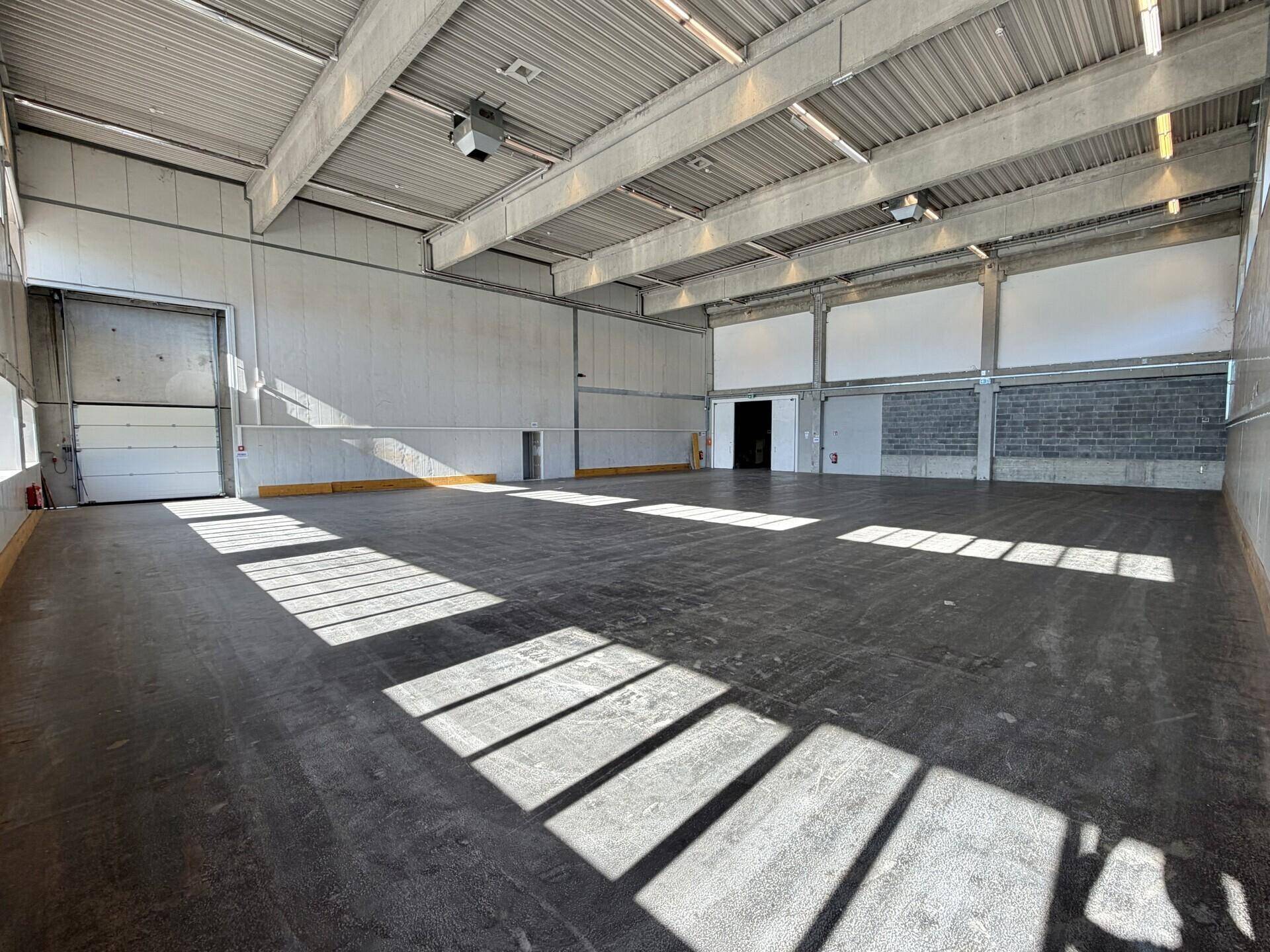 Helle Lagerhalle mit Betonboden, hohen Decken und einem großen Rolltor am Ende des Raumes.