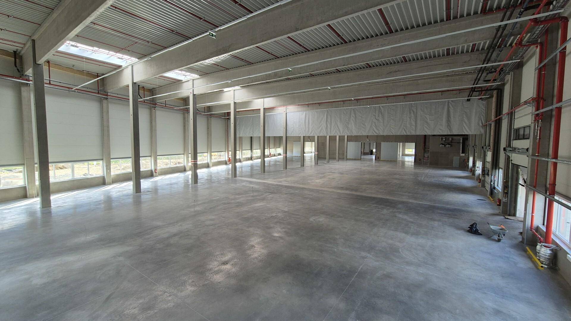 MF-Halle D 1.4