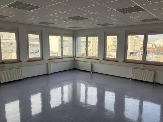 Heller, leerer Raum mit vielen Fenstern, grauem Vinylboden und abgehängter Decke, ideal als Bürofläche.