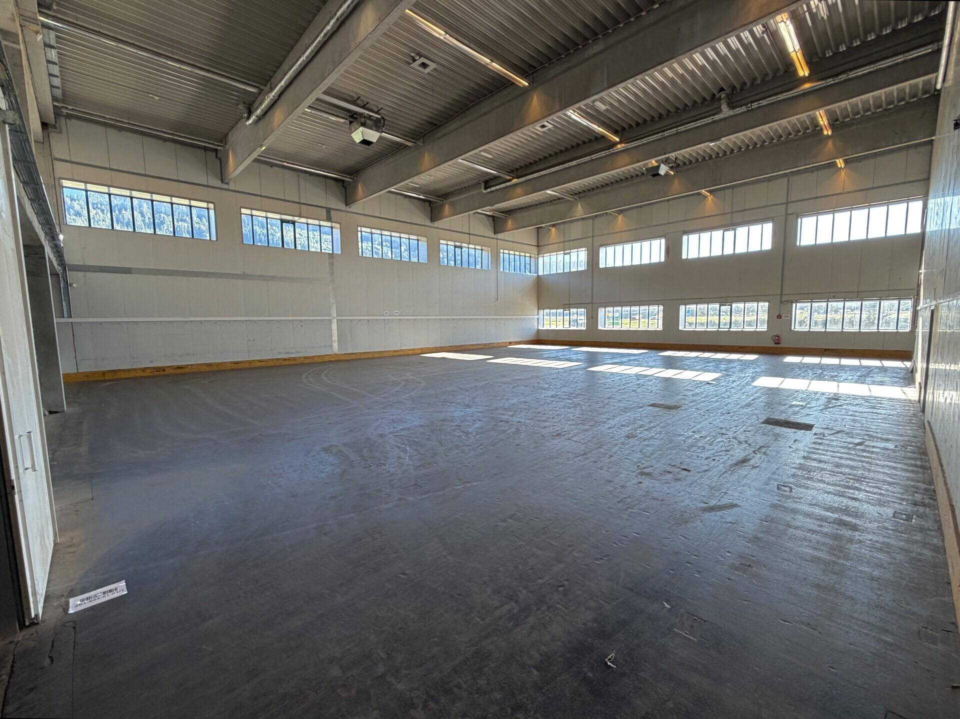 Große, leere Lagerhalle mit hohen Decken, vielen Fenstern und natürlichem Lichteinfall.
