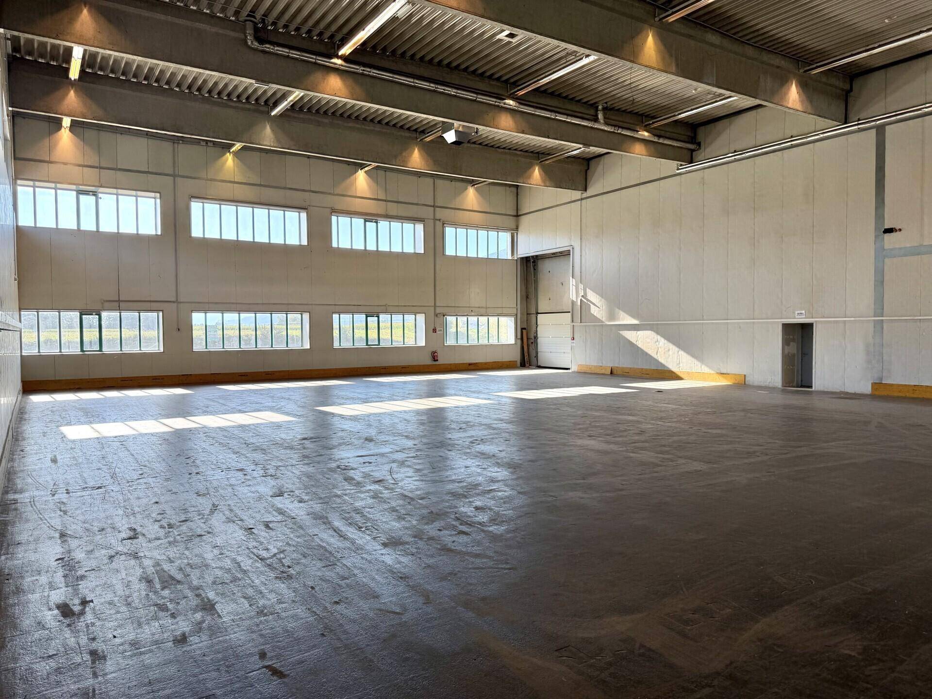 Weitläufige, leere Lagerhalle mit Rolltor und durch die Fenster einfallendem Sonnenlicht.