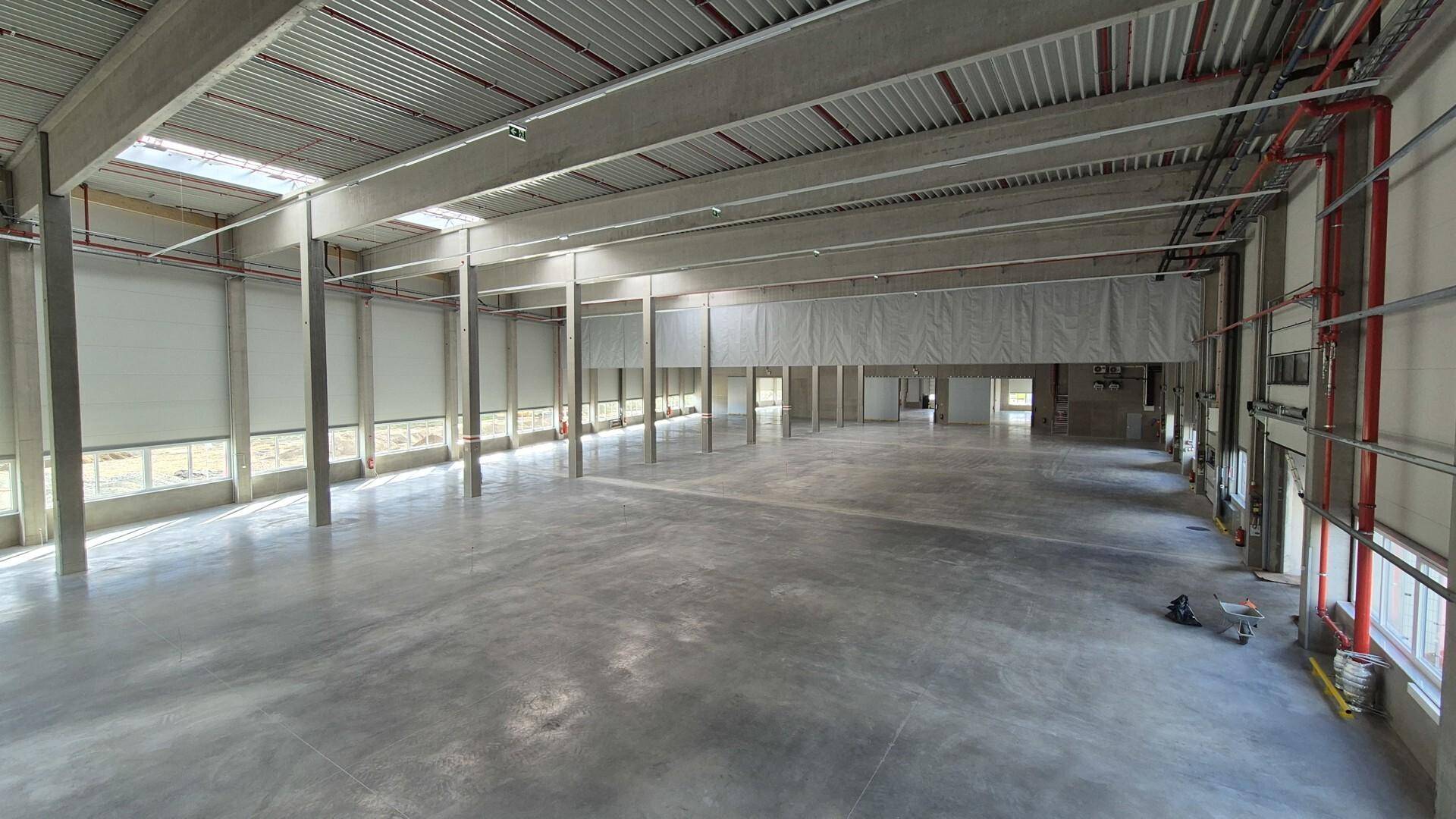 MF-Halle D 1.6