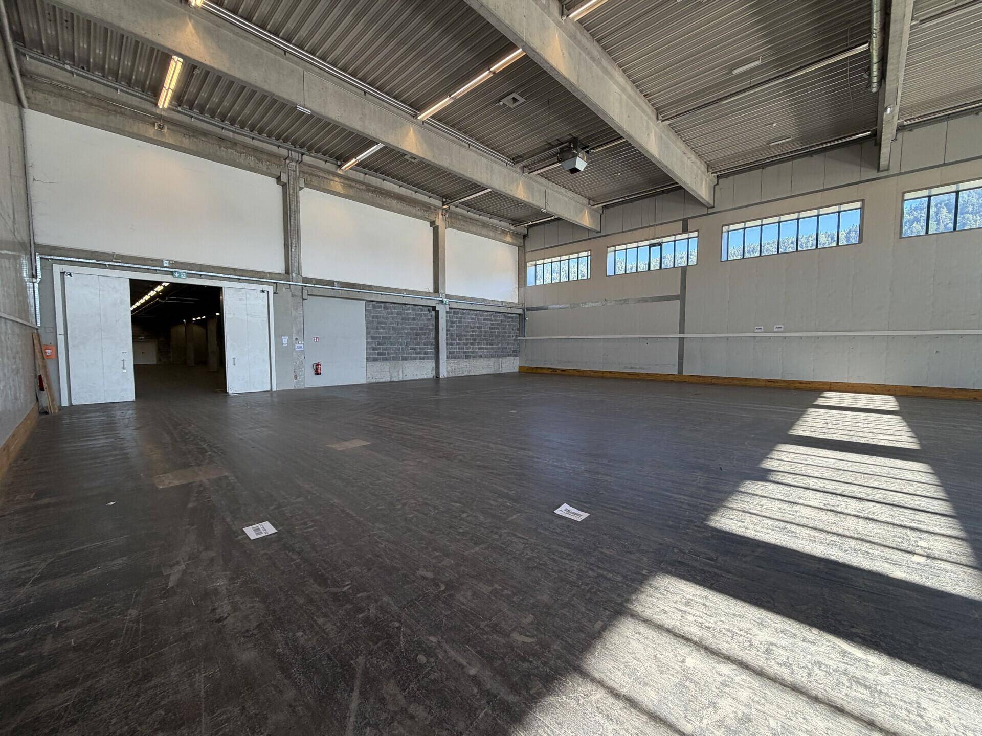 Geräumige, leere Lagerhalle mit hohen Decken, Betonboden und natürlichem Lichteinfall durch die Fenster.
