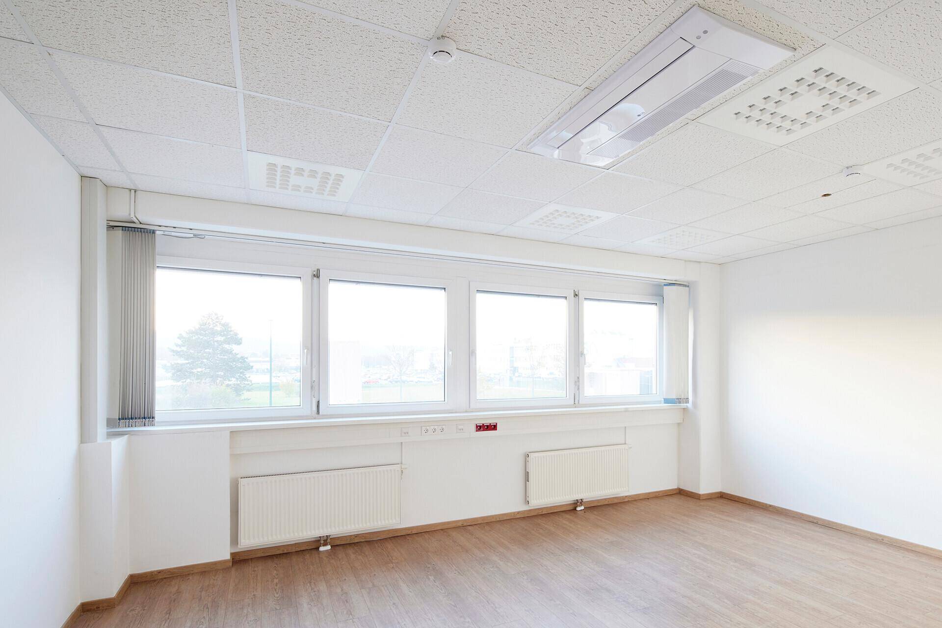 Leerer Büroraum mit großen Fenstern, hellem Holzboden und abgehängter Decke.