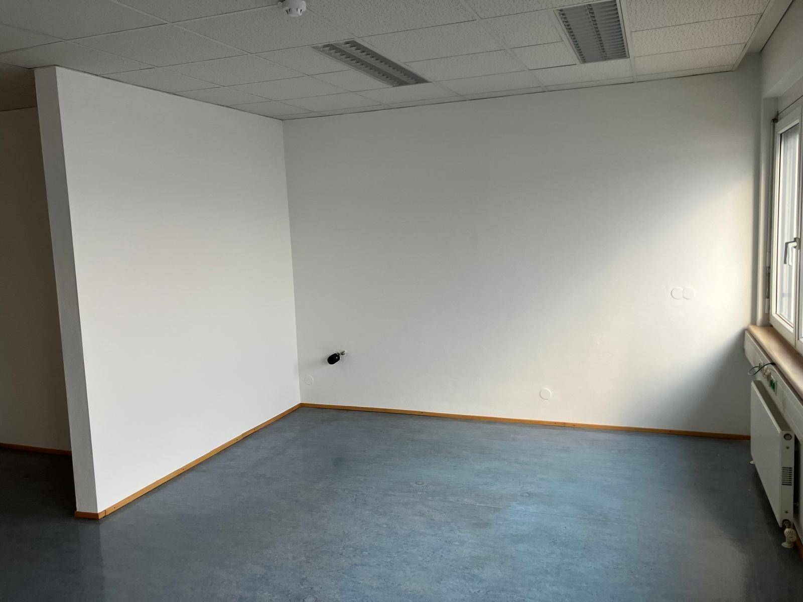 Helles und leeres Büro mit weiß gestrichenen Wänden und grauem Linoleumboden.