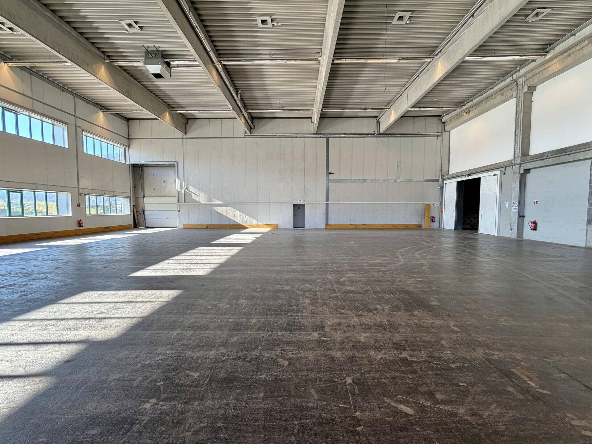 Geräumige Lagerhalle mit hohen Decken, Betonboden und mehreren Fenstern, die viel Tageslicht hereinlassen.
