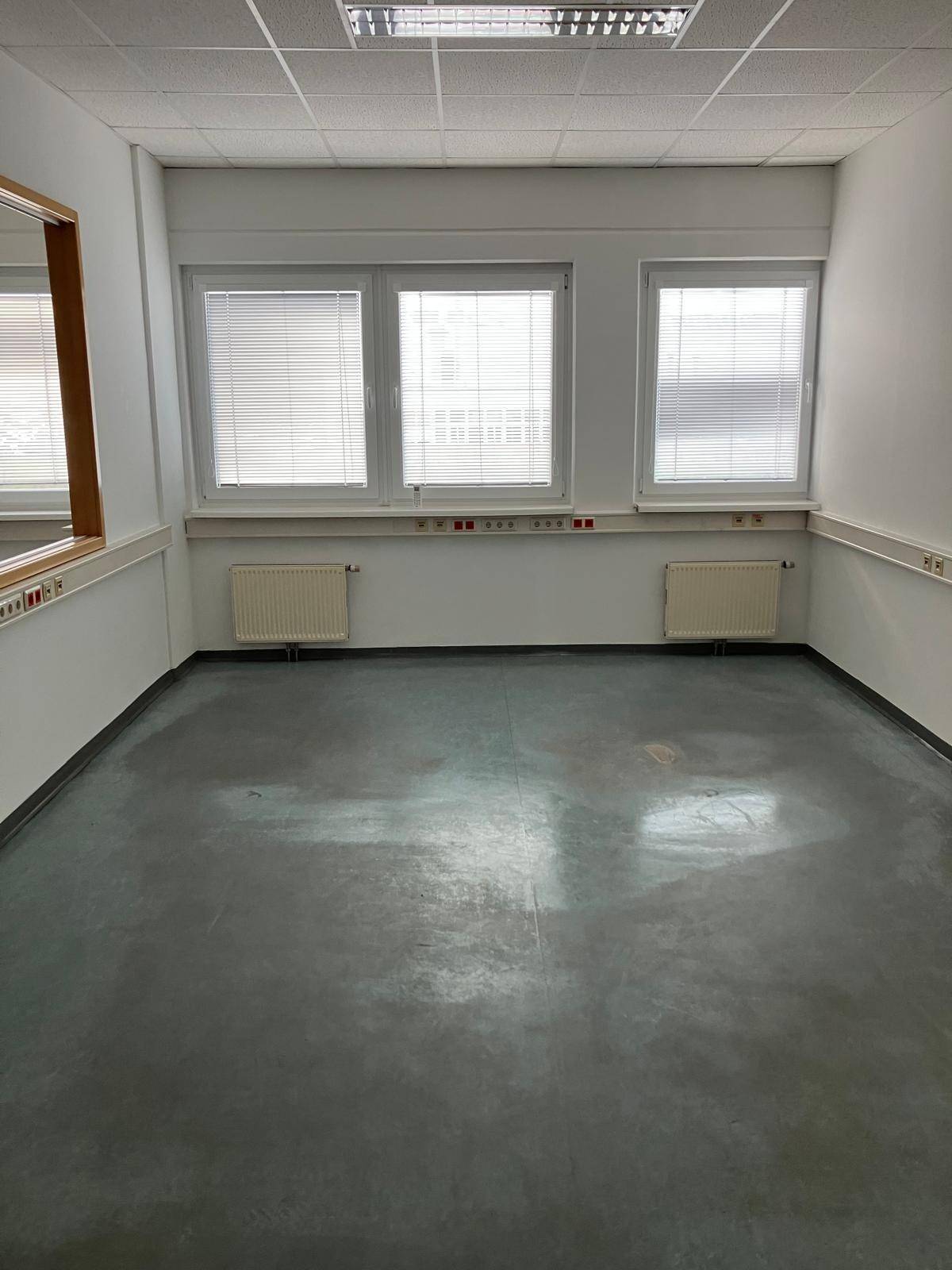 Leeres Büro mit drei Fenstern, Heizkörpern und einem dunklen Boden, bereit zur Einrichtung und Nutzung.