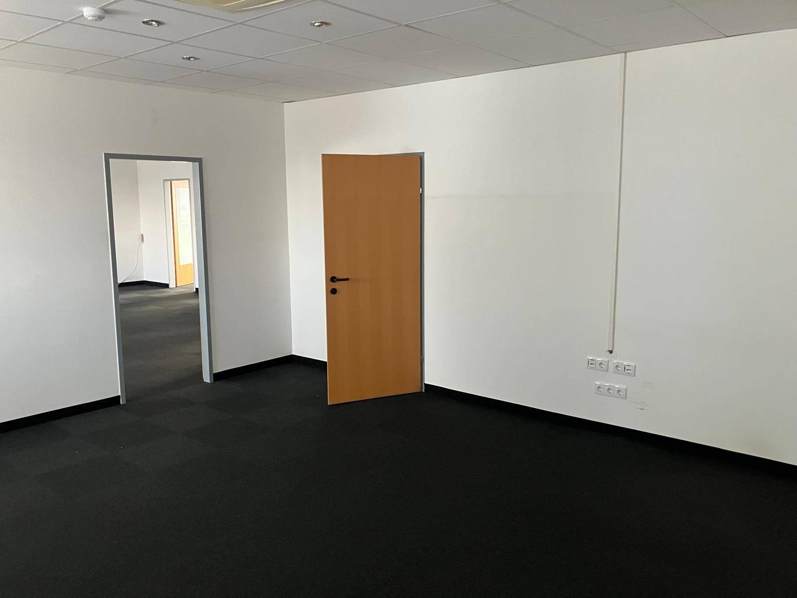 Leeres Büro mit dunklem Teppichboden und einer Holztür, bereit für die Einrichtung und Nutzung.
