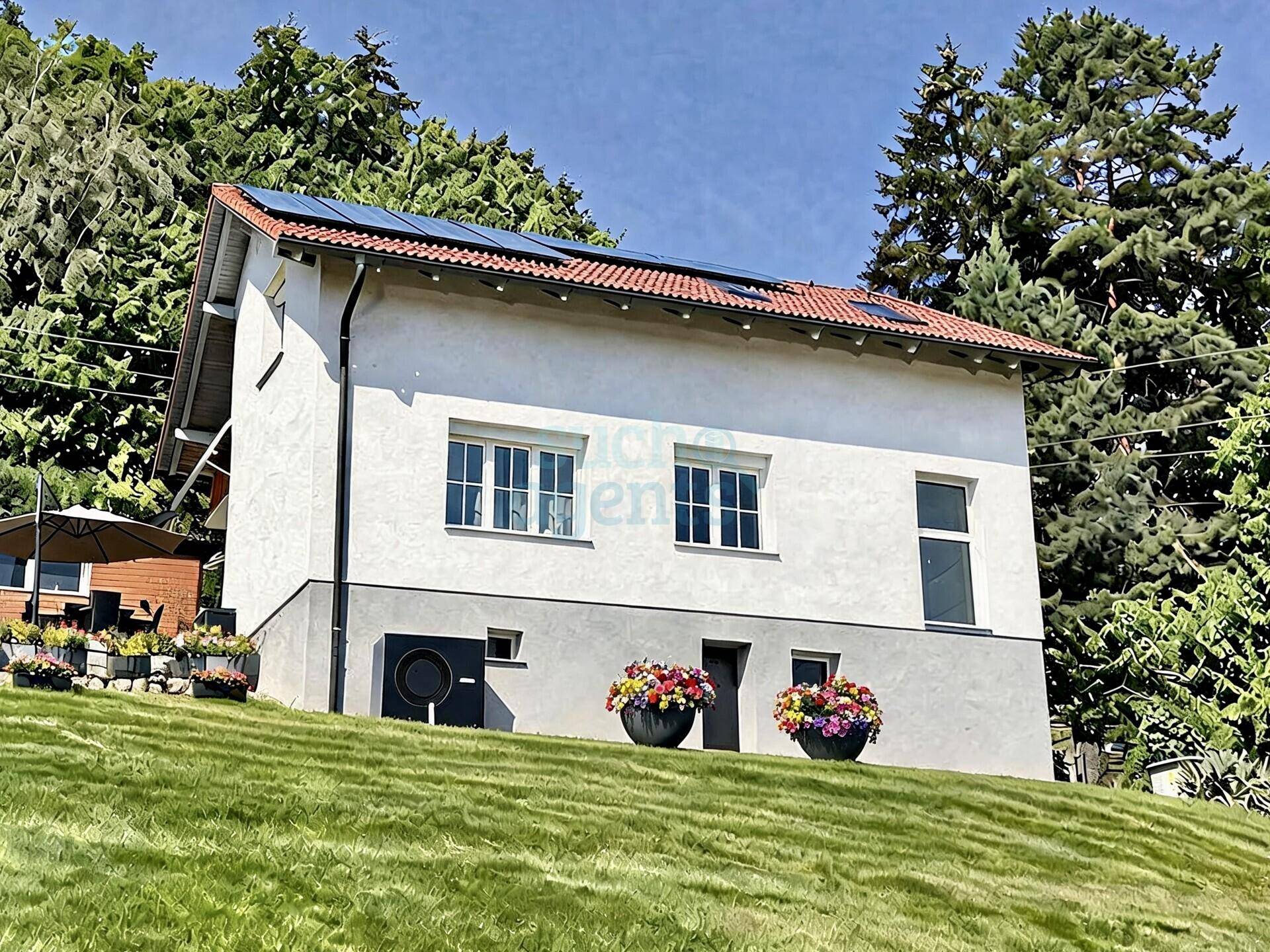 Ansicht des Hauses von vorne mit gepflegtem Rasen, Blumenkübeln und Solaranlage auf dem Dach.