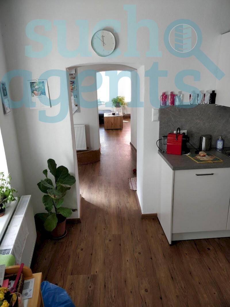 Heller Flur mit Laminatboden und integrierter kleiner Küchenzeile.