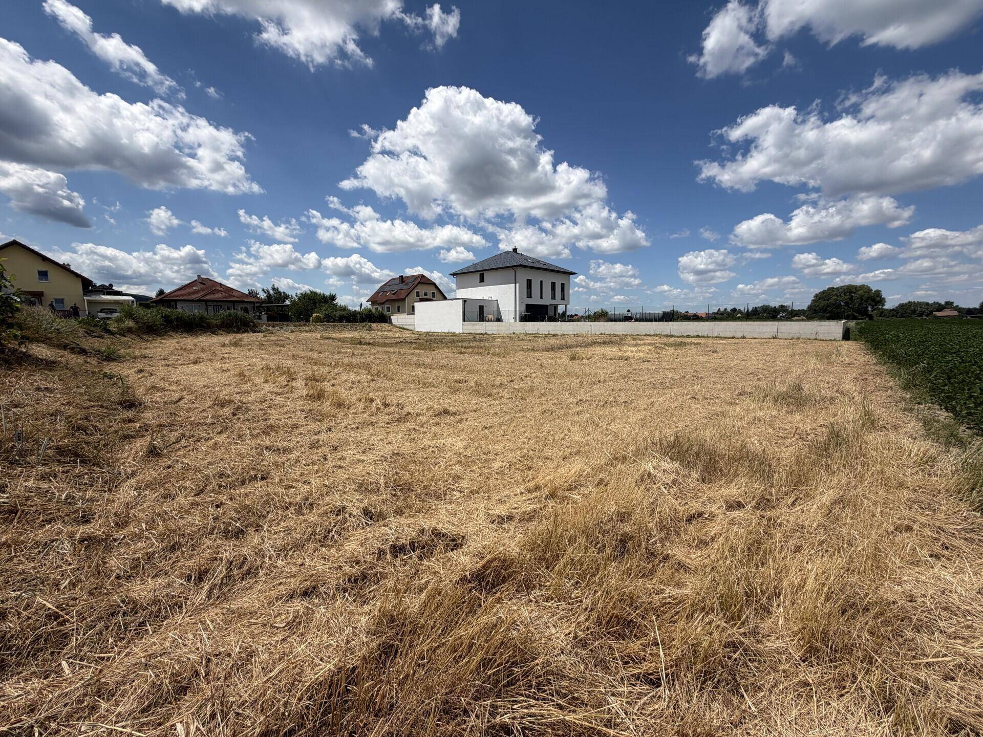 Weitläufiges Grundstück mit Neubauten im Hintergrund und offener Landschaft.