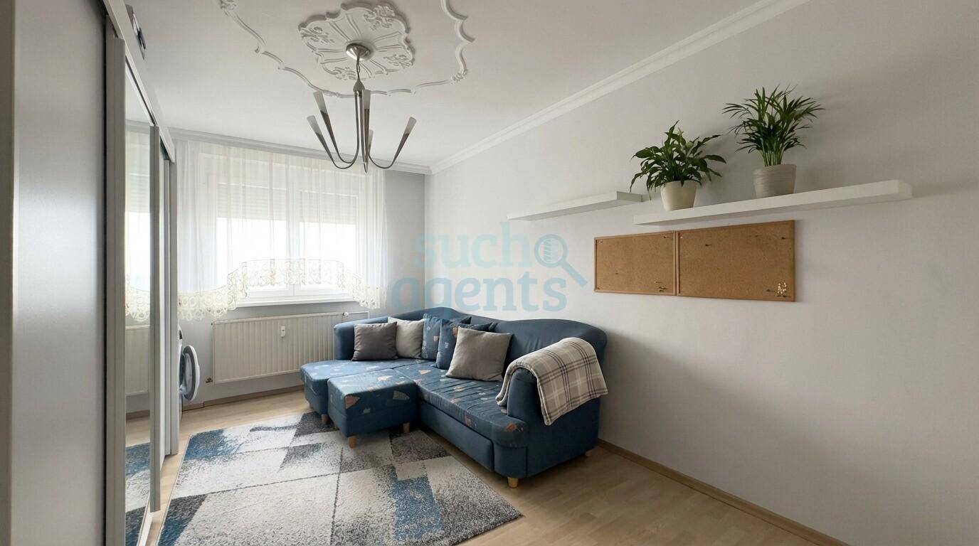 Helles Zimmer mit blauem Ecksofa, Teppich und Stuckdecke.