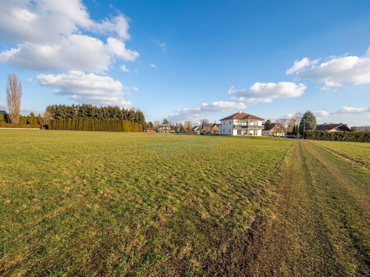 Weitläufige Grünfläche mit einem Haus im Hintergrund und einem Feldweg unter blauem Himmel.