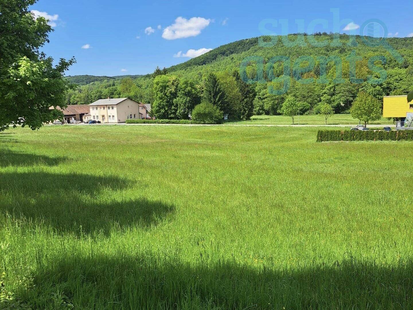 Weitläufige grüne Wiese mit Bäumen, Gebäuden im Hintergrund und bewaldetem Hügel unter blauem Himmel.