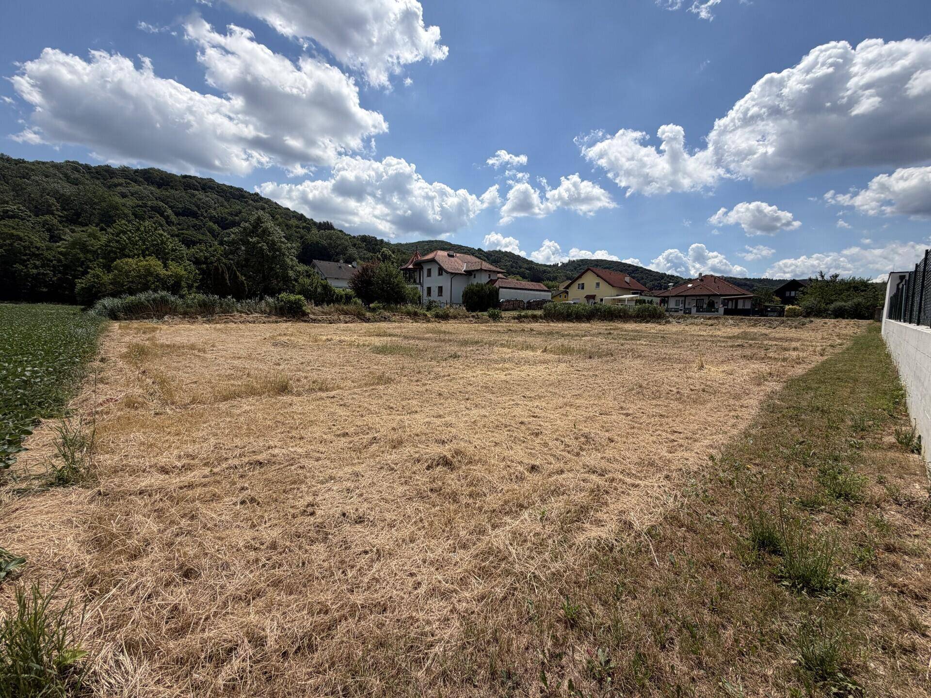 Weitläufiges Grundstück mit trockenem Gras und Blick auf umliegende Häuser und grüne Hügel.