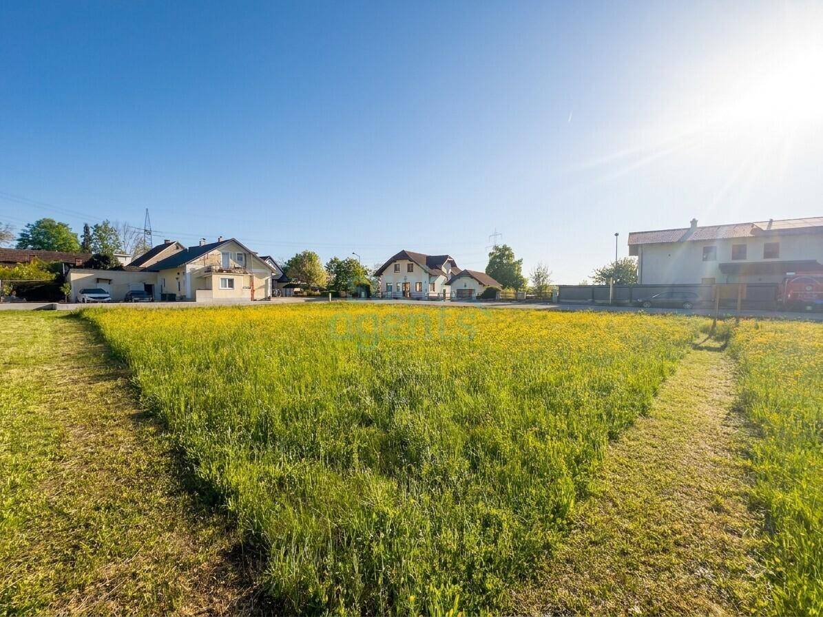 Sonniges Feld mit gelben Blumen und Wohnhäusern unter blauem Himmel.