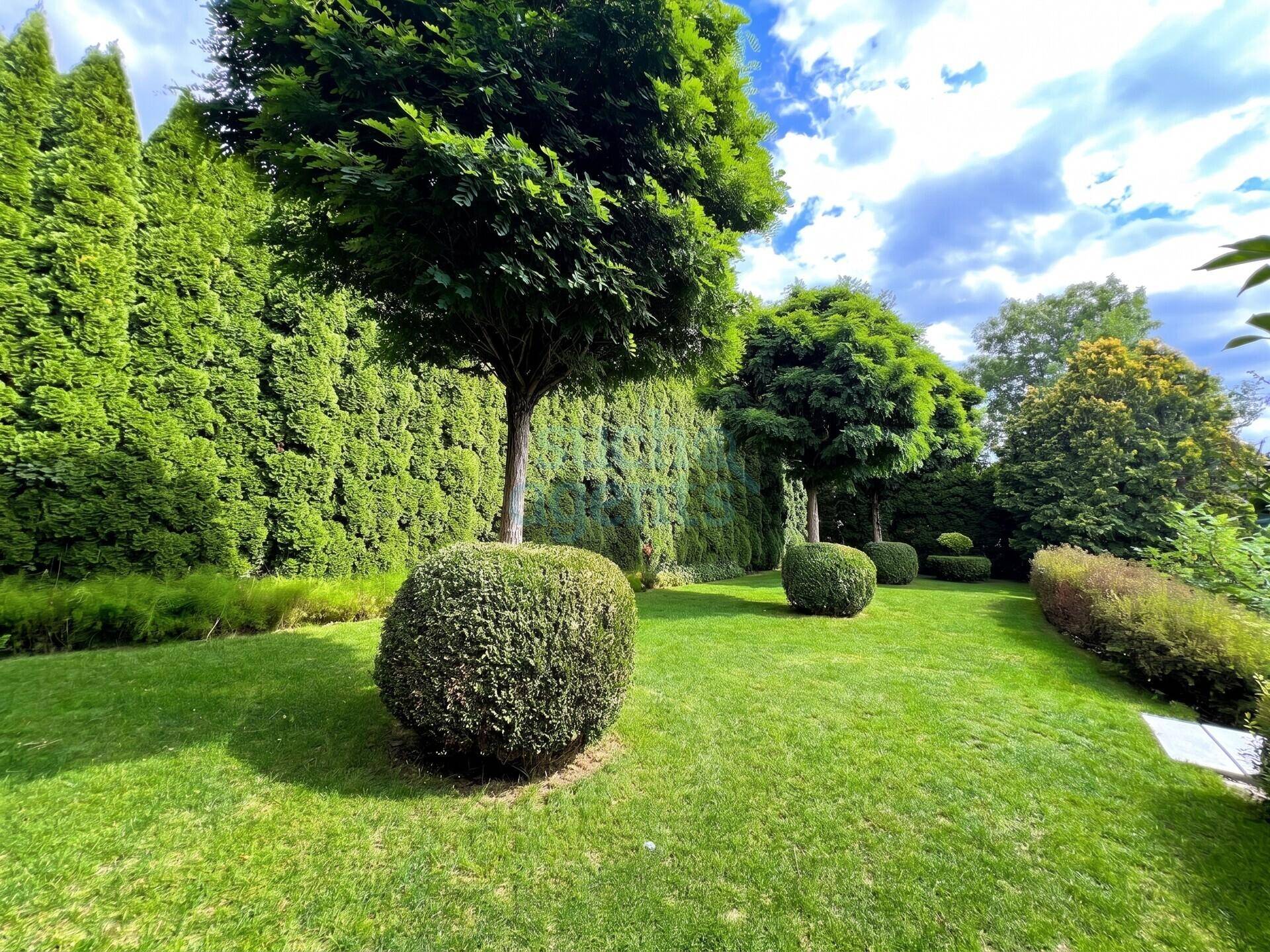 Gepflegter Garten mit Rasenfläche, hohen Hecken und dekorativen Bäumen unter blauem Himmel.