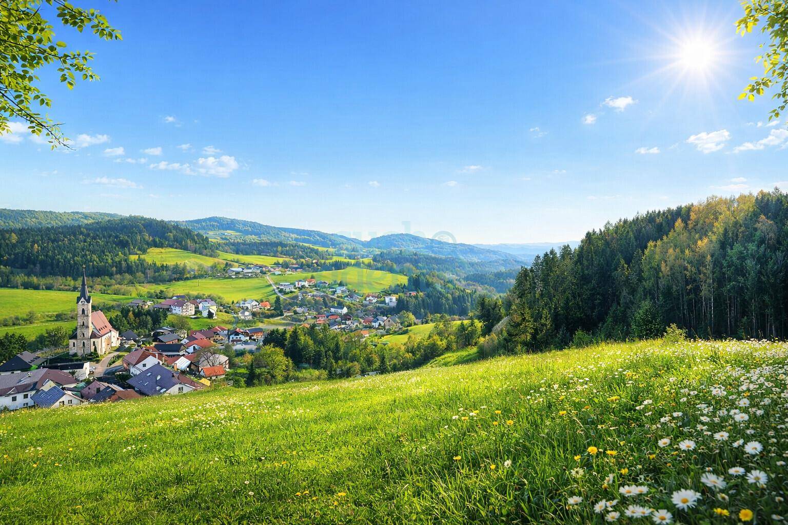 Neuer Preis! Sonniges Baugrundstück nahe Linz – unverbaubarer Ausblick - Ansicht 2