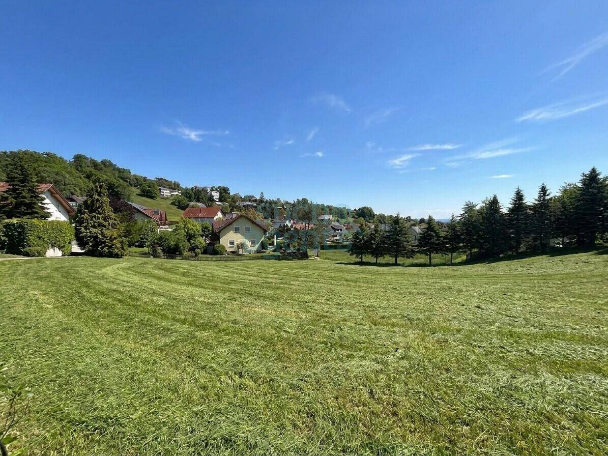 Weitläufige grüne Wiese mit Häusern und Bäumen im Hintergrund unter blauem Himmel.