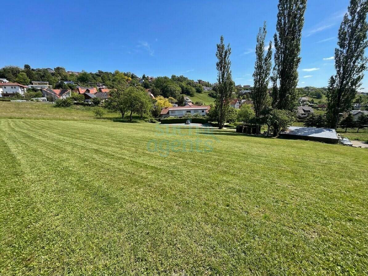 Weitläufige grüne Wiese mit Blick auf eine Siedlung und hohe Bäume unter blauem Himmel.