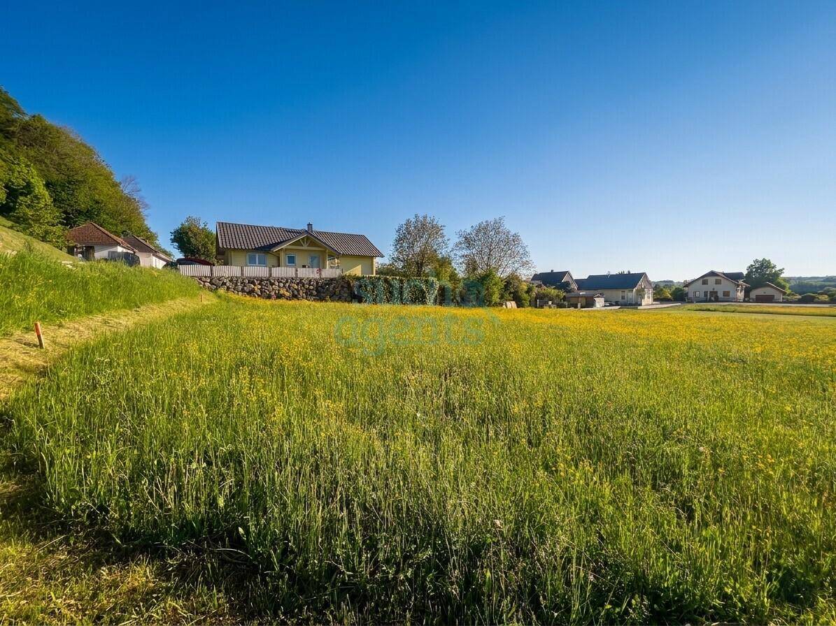 Grünes Feld mit gelben Blumen und Häusern am Fuße eines bewaldeten Hügels.