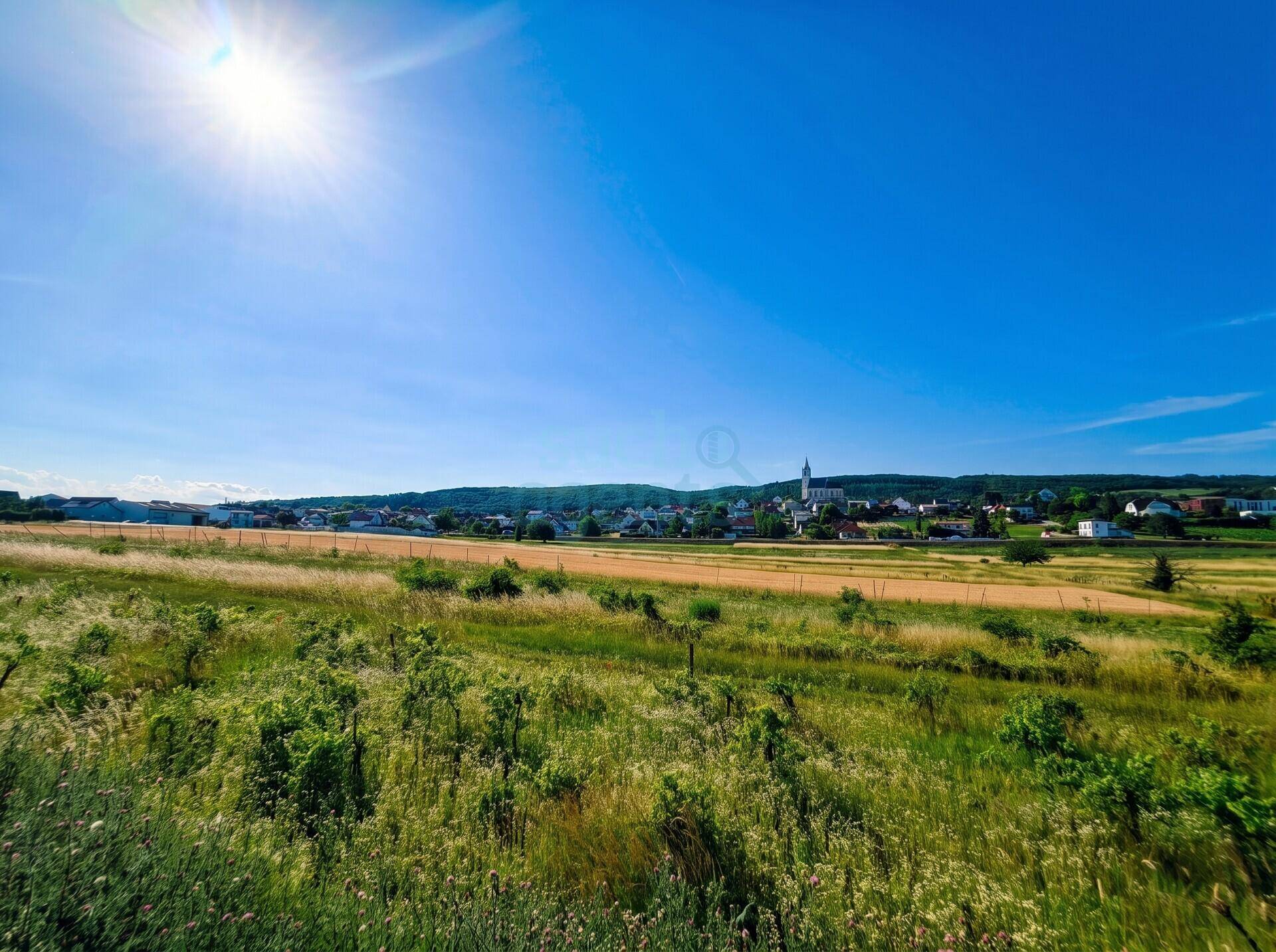 Sonniger Blick über weite Felder und Weinberge auf ein charmantes Dorf in der Ferne.