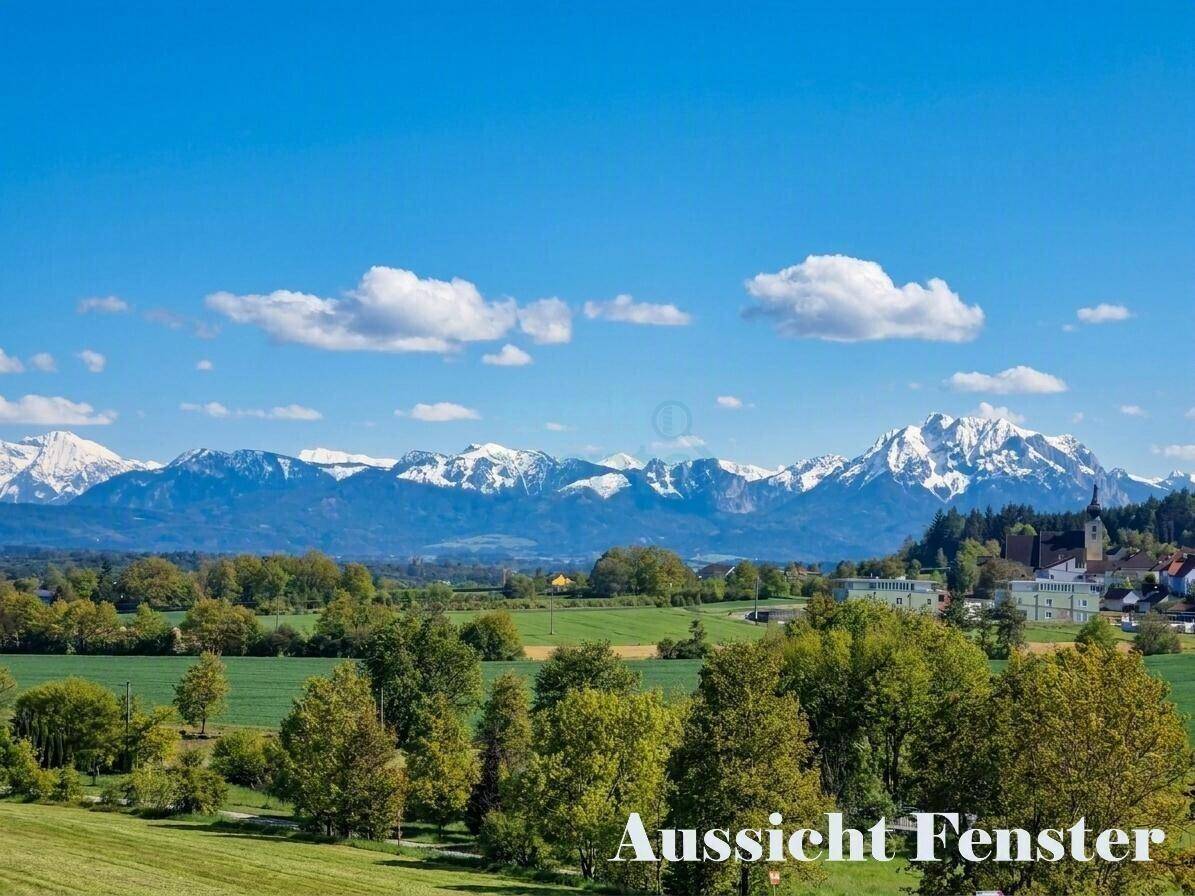 Spektakulärer Panoramablick auf schneebedeckte Berge und weite grüne Felder unter blauem Himmel.
