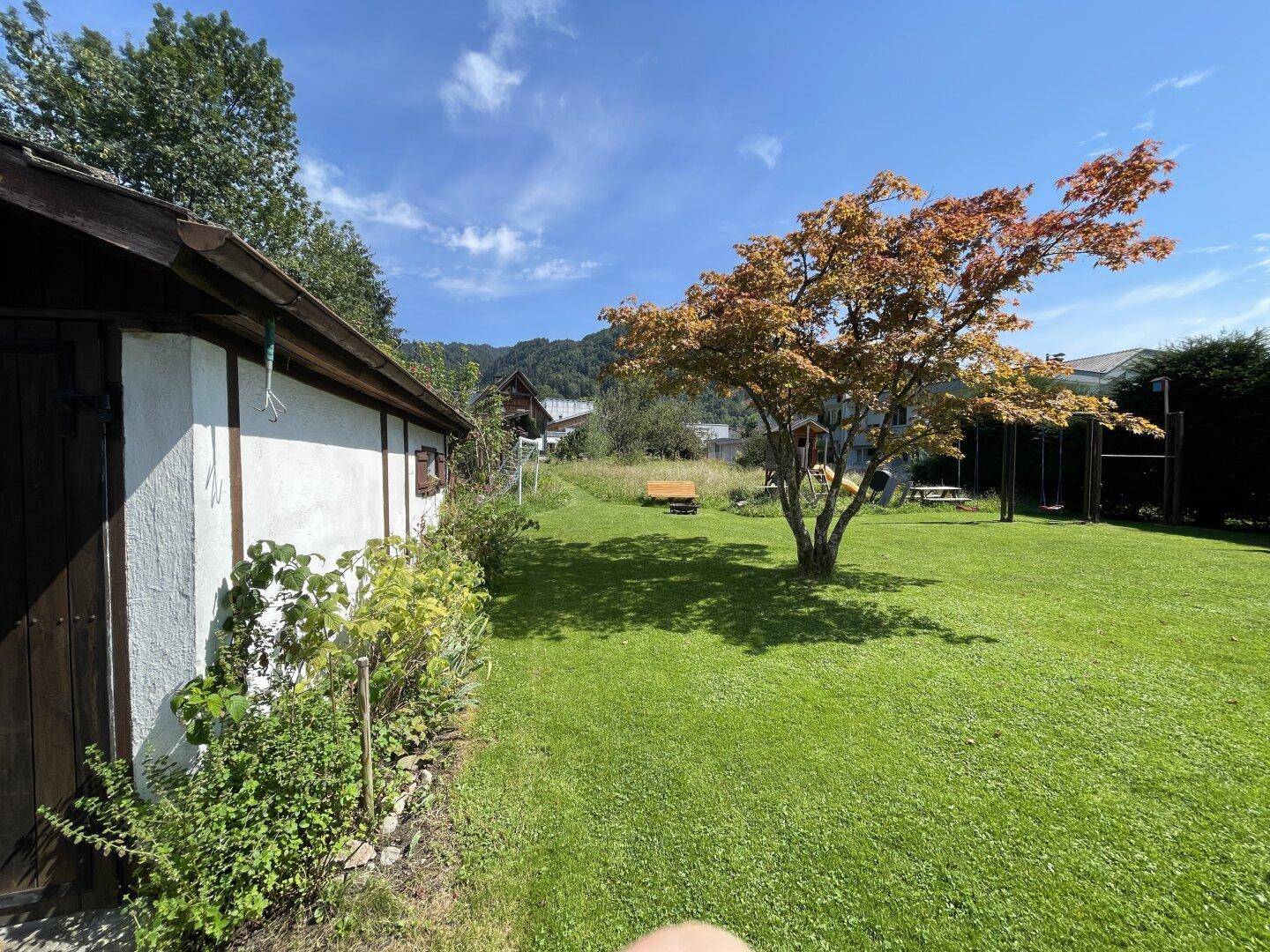 Sonniger Garten mit Rasen, einem markanten Baum und einem Spielbereich, mit Blick auf die umliegende Berglandschaft.