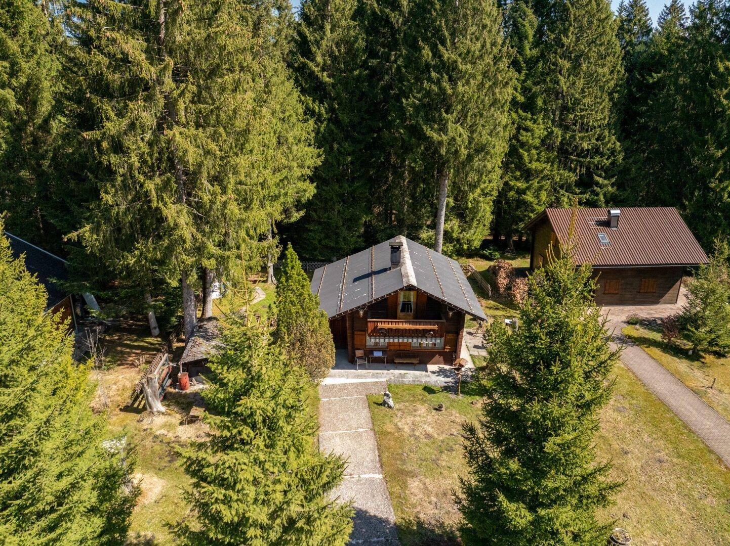 Luftaufnahme eines charmanten Holzhauses umgeben von hohen Nadelbäumen in alpiner Landschaft.