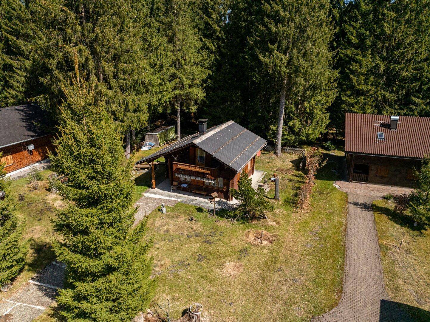 Luftaufnahme des Holzhauses mit gepflegtem Garten und umgebenden Nadelbäumen unter blauem Himmel.
