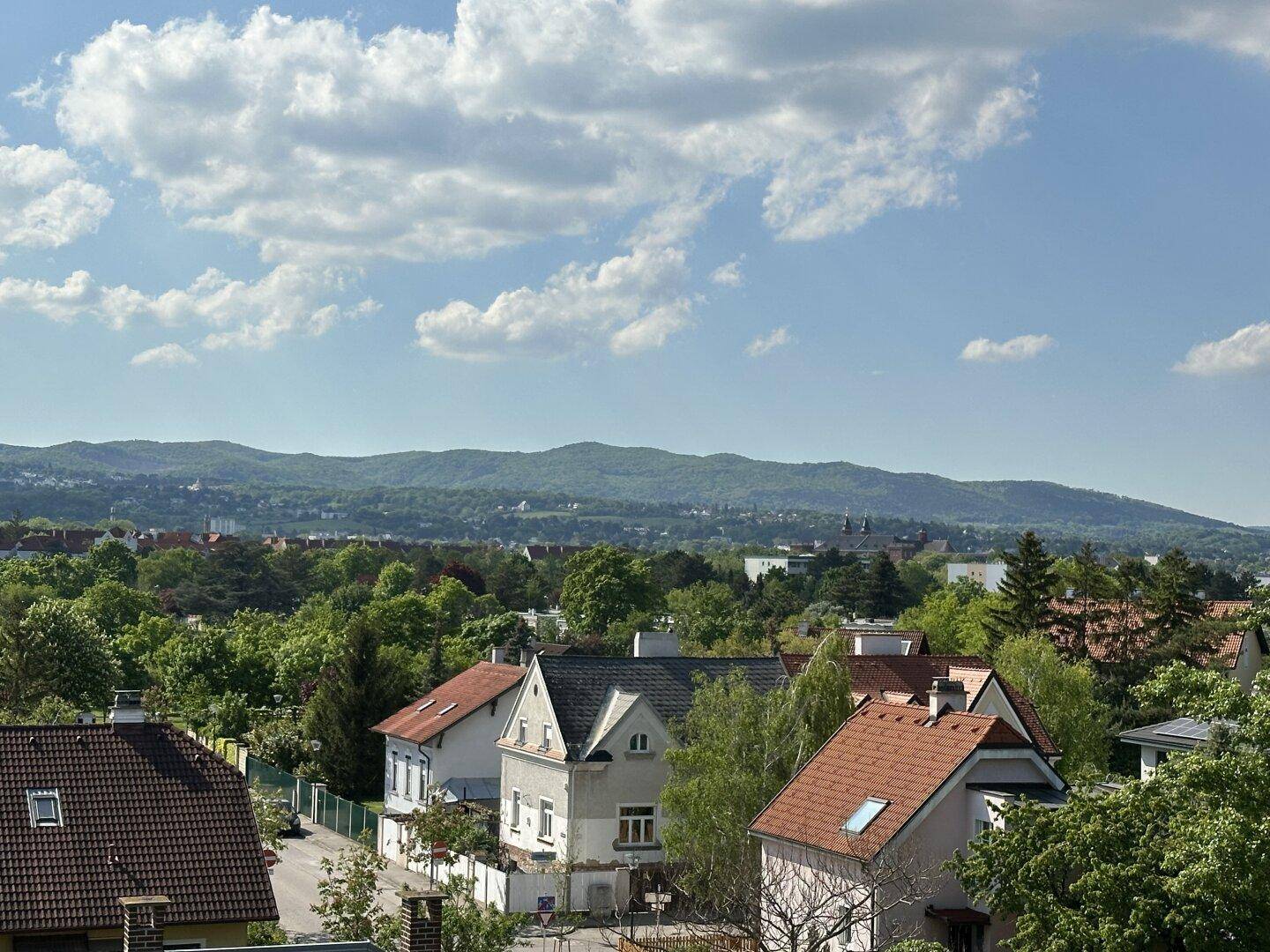 Ausblick