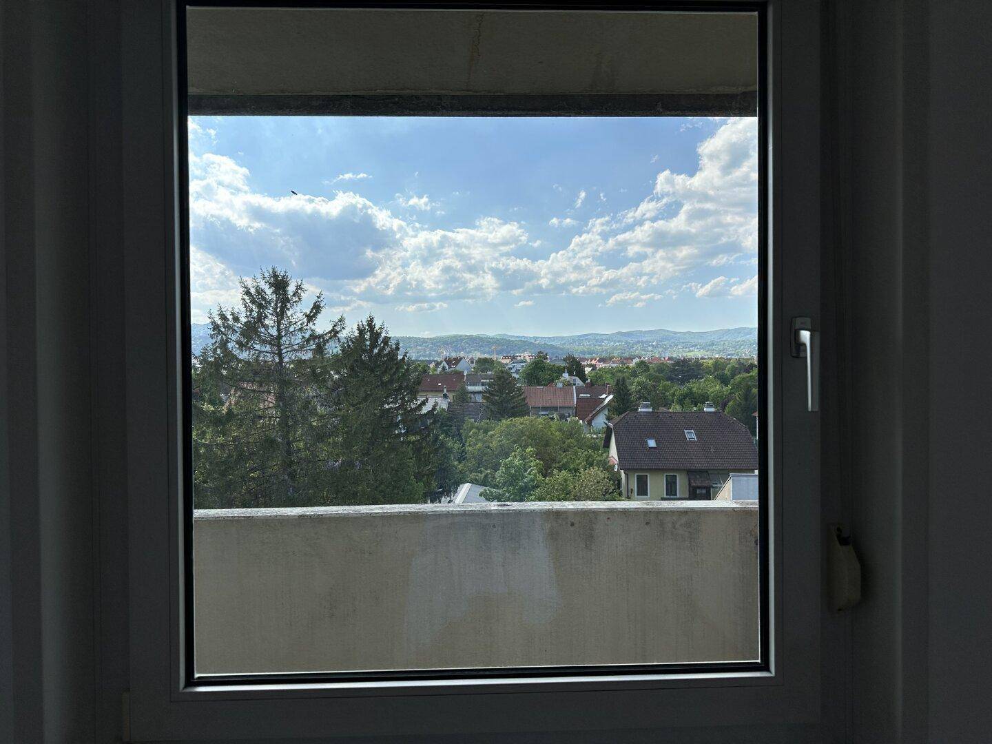 Ausblick