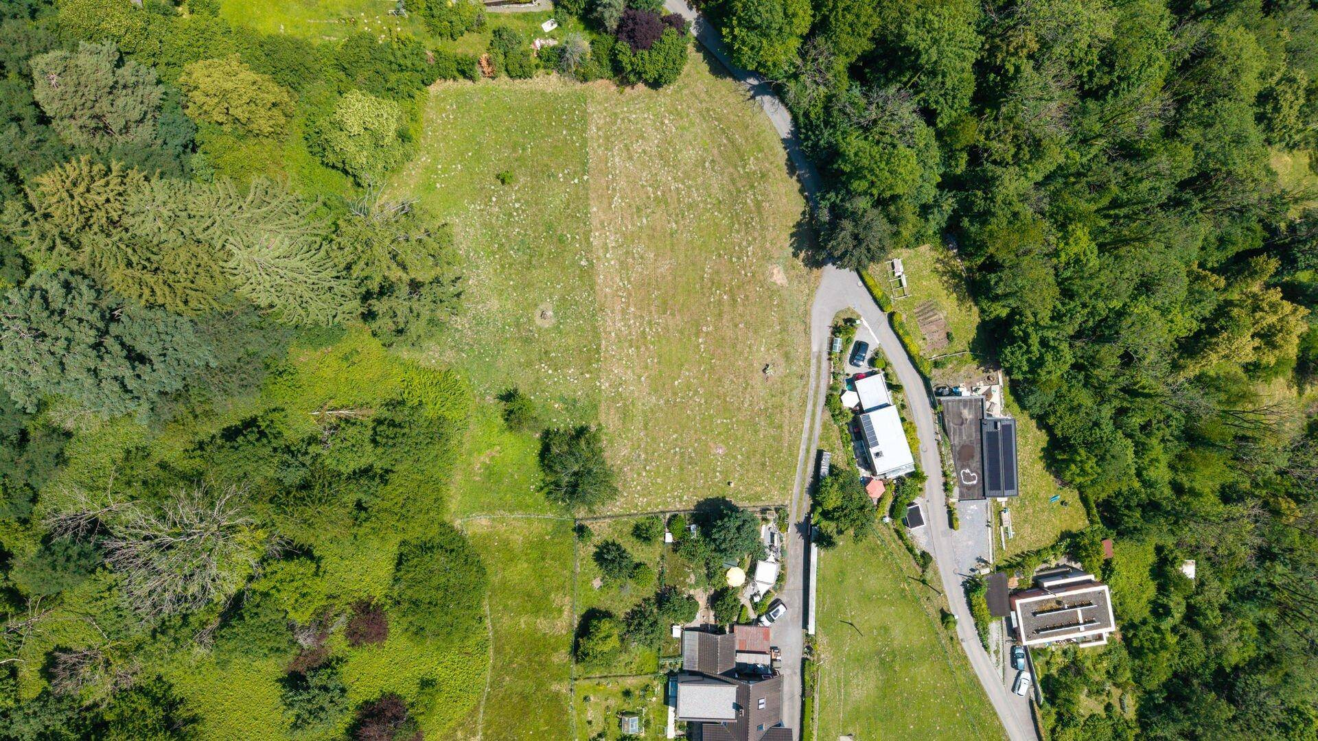 Senkrechte Luftaufnahme eines großen grünen Feldes, umgeben von Bäumen, Straßen und einigen Gebäuden.