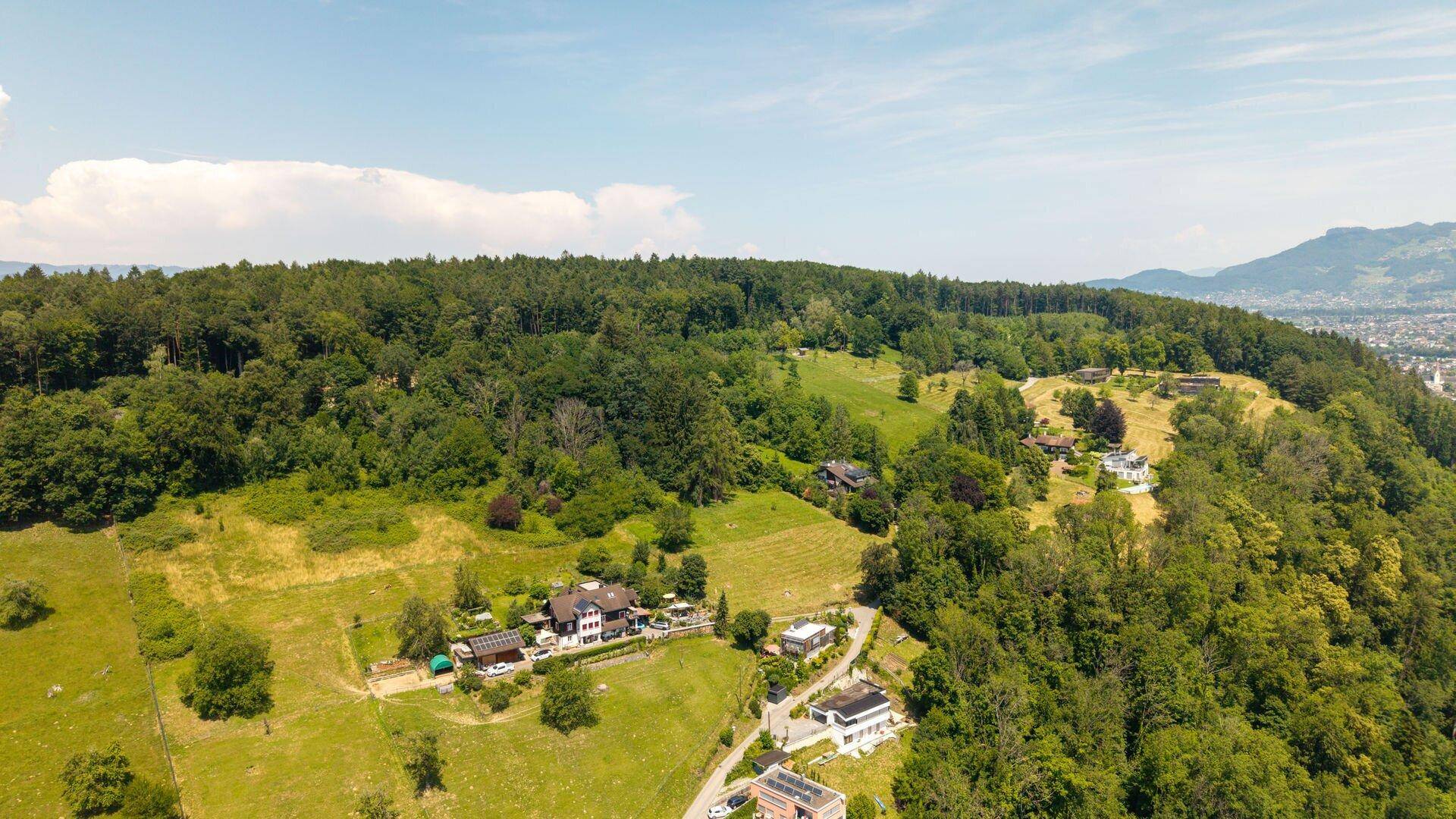 Luftaufnahme einer bewaldeten Hügellandschaft mit vereinzelten Häusern und grünen Wiesen unter blauem Himmel.