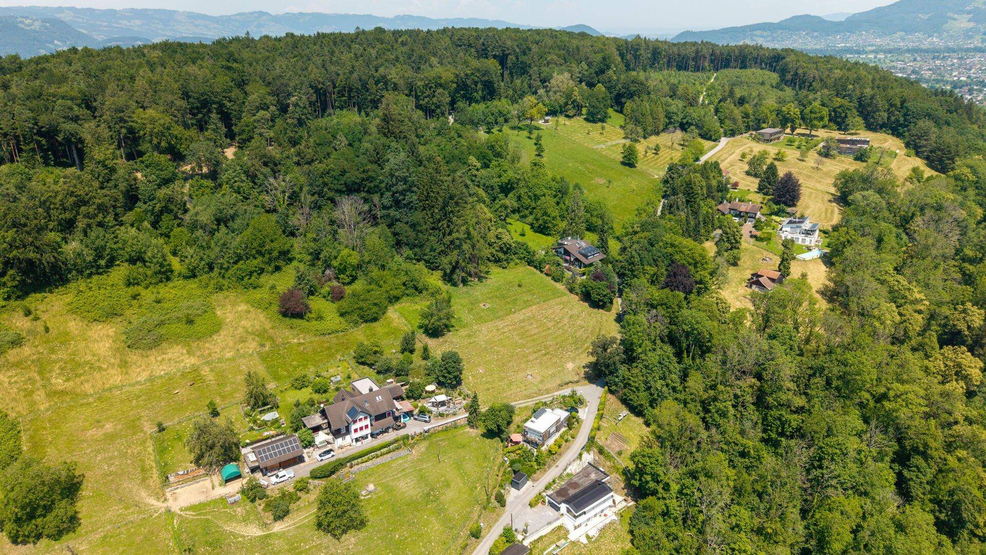 Weitwinkel-Luftaufnahme einer üppig grünen Hügellandschaft mit dichtem Wald, Feldern und vereinzelten Häusern.