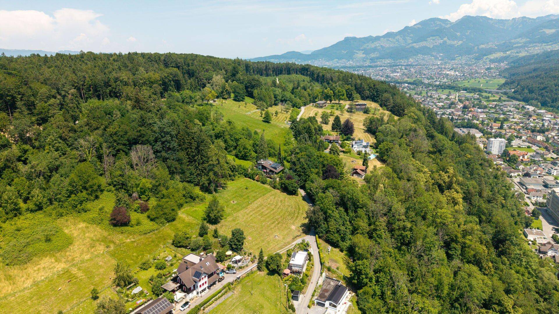 Luftaufnahme einer grünen Hügellandschaft mit dichtem Wald, vereinzelten Häusern und einer Stadt in der Ferne.