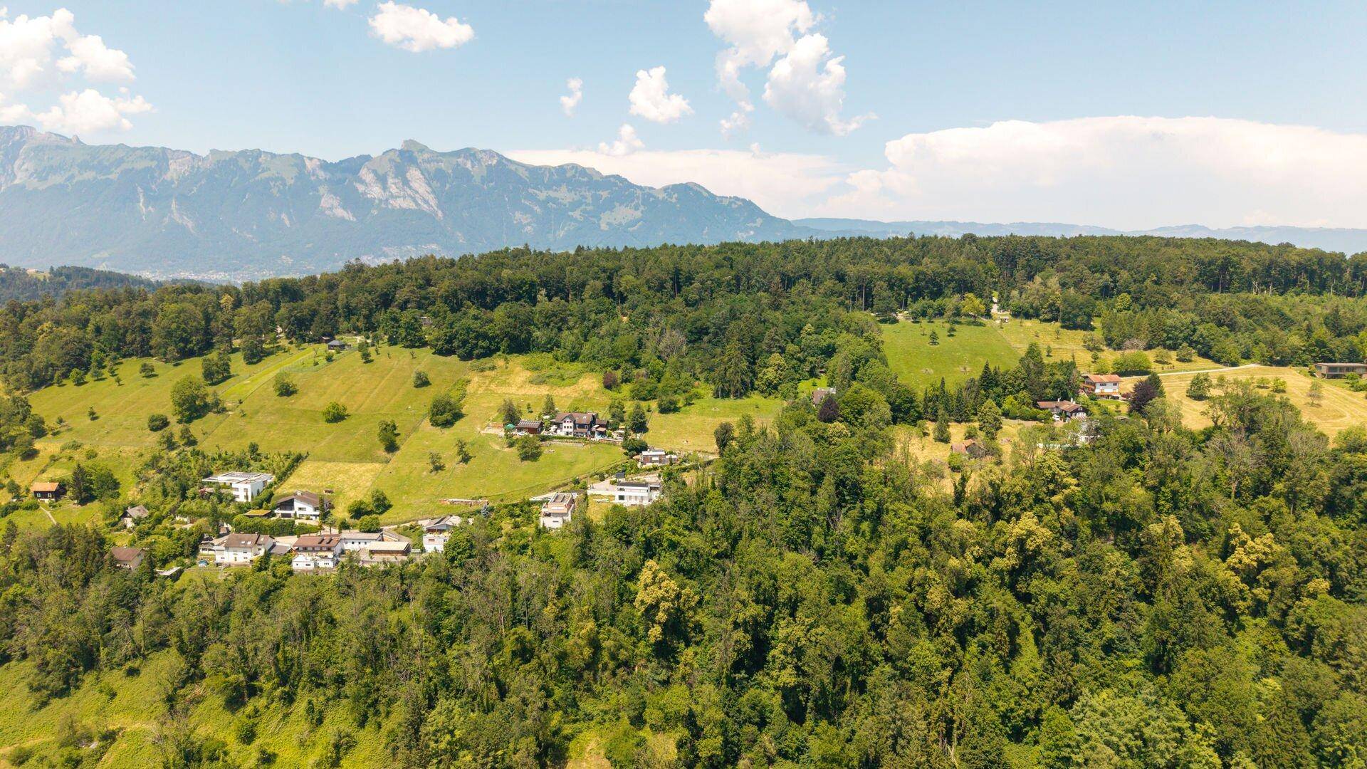 Luftaufnahme einer grünen Hügellandschaft mit verstreuten Häusern, dichtem Wald und einer beeindruckenden Bergkulisse.