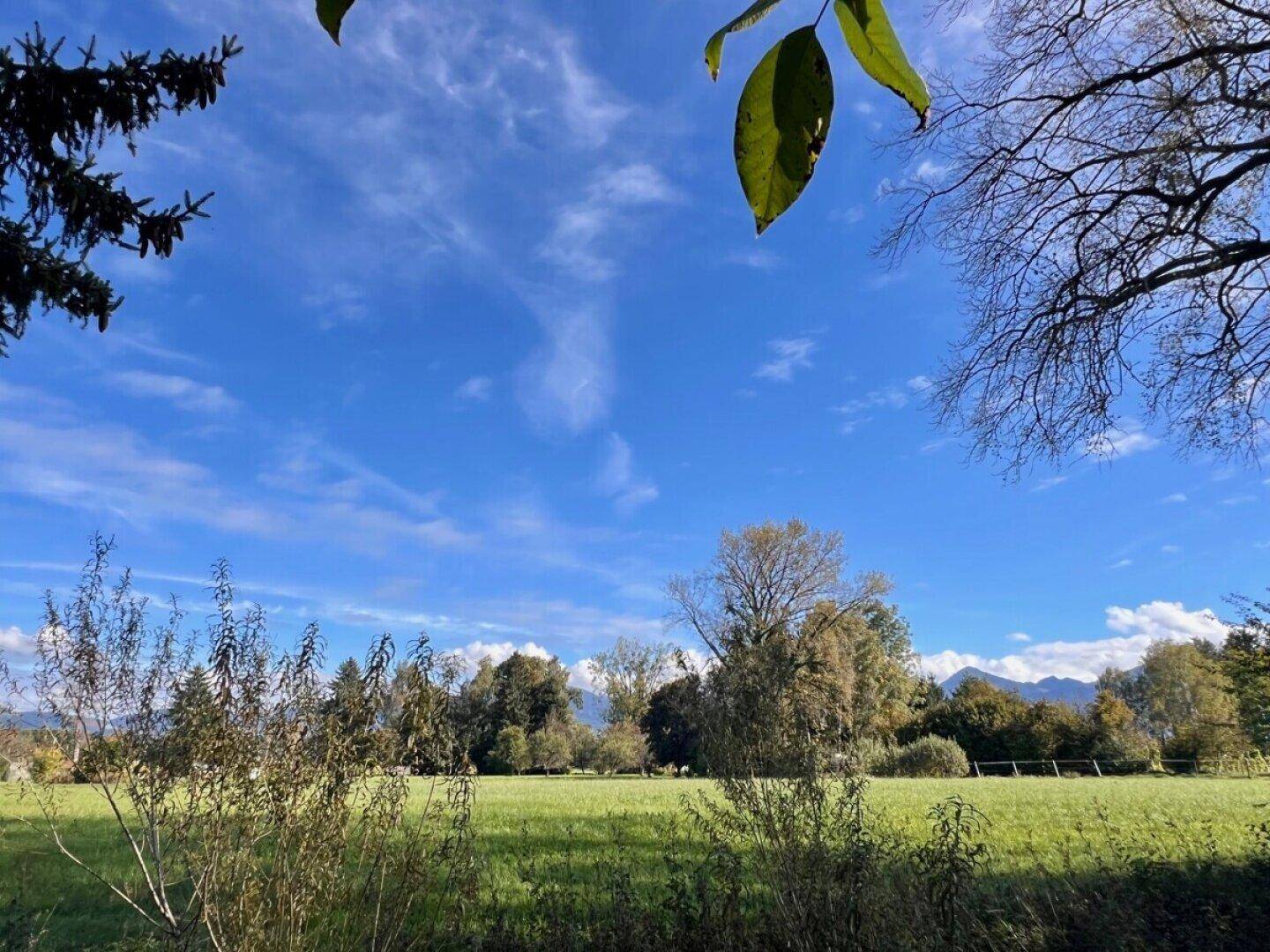 Weitläufige grüne Landschaft mit Bäumen und Bergen im Hintergrund unter blauem Himmel.