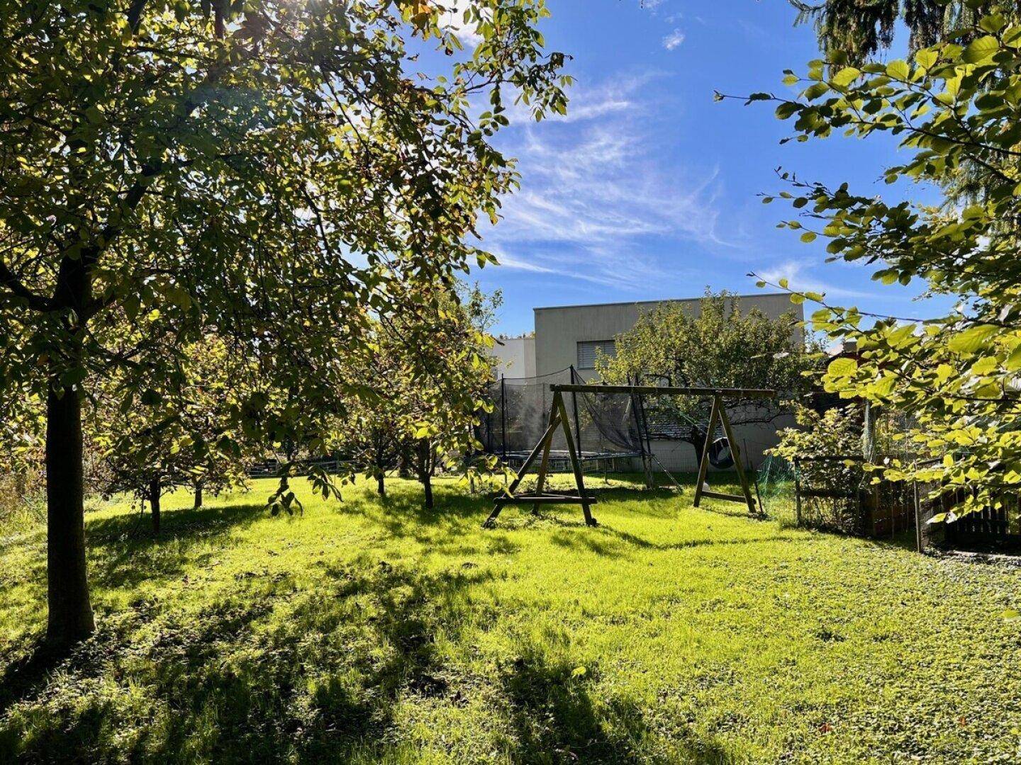 Sonnige Gartenfläche mit Rasen, Bäumen, Schaukel und Trampolin, im Hintergrund ein modernes Gebäude.