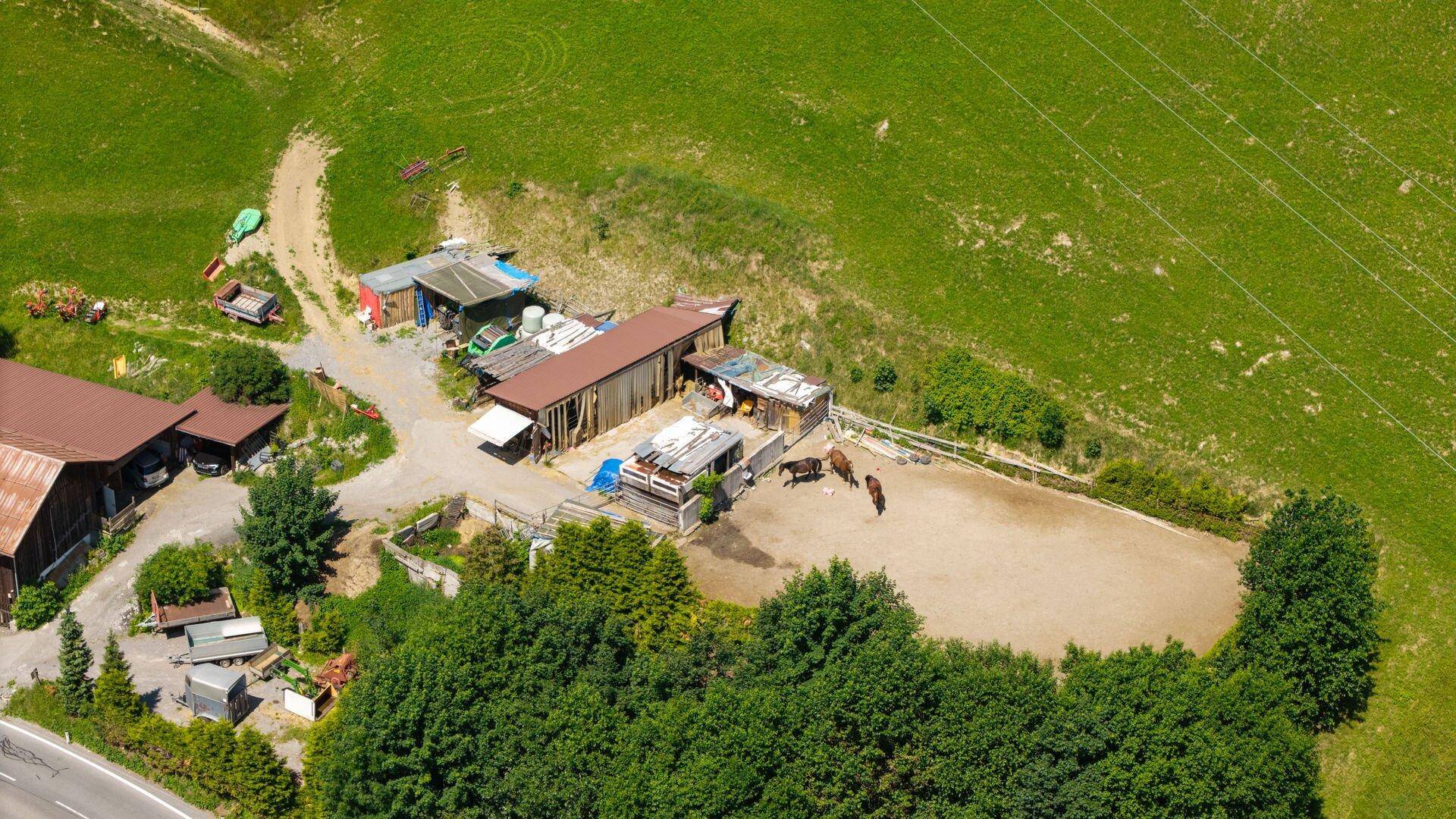 Luftaufnahme von Nebengebäuden, einem Reitplatz mit Pferden und weitläufigen grünen Wiesen.